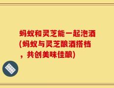 蚂蚁和灵芝能一起泡酒(蚂蚁与灵芝酿酒搭档，共创美味佳酿)