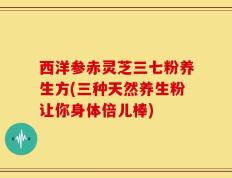 西洋参赤灵芝三七粉养生方(三种天然养生粉让你身体倍儿棒)