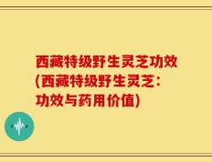 西藏特级野生灵芝功效(西藏特级野生灵芝：功效与药用价值)