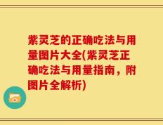 紫灵芝的正确吃法与用量图片大全(紫灵芝正确吃法与用量指南，附图片全解析)