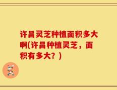 许昌灵芝种植面积多大啊(许昌种植灵芝，面积有多大？)