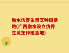融水仿野生灵芝种植基地(广西融水设立仿野生灵芝种植基地)