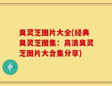 臭灵芝图片大全(经典臭灵芝图集：高清臭灵芝图片大合集分享)