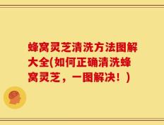 蜂窝灵芝清洗方法图解大全(如何正确清洗蜂窝灵芝，一图解决！)