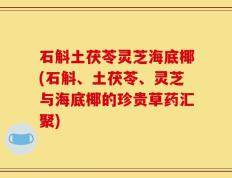 石斛土茯苓灵芝海底椰(石斛、土茯苓、灵芝与海底椰的珍贵草药汇聚)