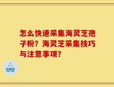 怎么快速采集海灵芝孢子粉？海灵芝采集技巧与注意事项？