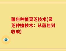 菌包种植灵芝技术(灵芝种植技术：从菌包到收成)