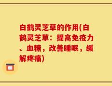 白鹤灵芝草的作用(白鹤灵芝草：提高免疫力、血糖，改善睡眠，缓解疼痛)