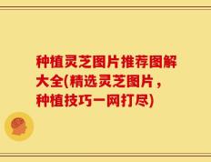 种植灵芝图片推荐图解大全(精选灵芝图片，种植技巧一网打尽)