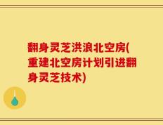 翻身灵芝洪浪北空房(重建北空房计划引进翻身灵芝技术)