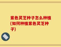 紫色灵芝种子怎么种植(如何种植紫色灵芝种子)