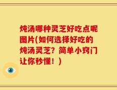 炖汤哪种灵芝好吃点呢图片(如何选择好吃的炖汤灵芝？简单小窍门让你秒懂！)