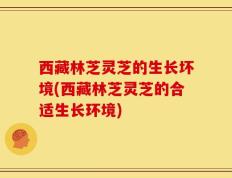 西藏林芝灵芝的生长坏境(西藏林芝灵芝的合适生长环境)