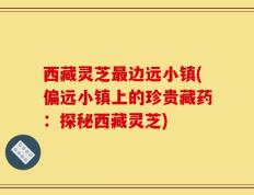 西藏灵芝最边远小镇(偏远小镇上的珍贵藏药：探秘西藏灵芝)