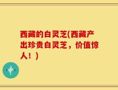 西藏的白灵芝(西藏产出珍贵白灵芝，价值惊人！)