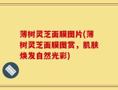薄树灵芝面膜图片(薄树灵芝面膜图赏，肌肤焕发自然光彩)