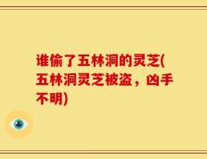 谁偷了五林洞的灵芝(五林洞灵芝被盗，凶手不明)