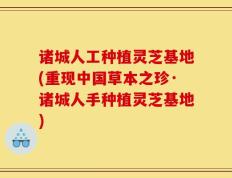 诸城人工种植灵芝基地(重现中国草本之珍·诸城人手种植灵芝基地)