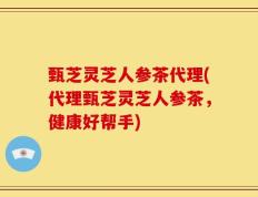甄芝灵芝人参茶代理(代理甄芝灵芝人参茶，健康好帮手)