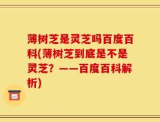 薄树芝是灵芝吗百度百科(薄树芝到底是不是灵芝？——百度百科解析)