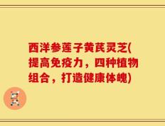 西洋参莲子黄芪灵芝(提高免疫力，四种植物组合，打造健康体魄)