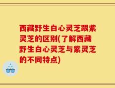 西藏野生白心灵芝跟紫灵芝的区别(了解西藏野生白心灵芝与紫灵芝的不同特点)