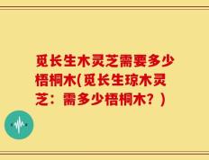 觅长生木灵芝需要多少梧桐木(觅长生琼木灵芝：需多少梧桐木？)