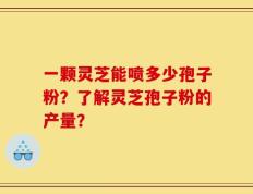 一颗灵芝能喷多少孢子粉？了解灵芝孢子粉的产量？