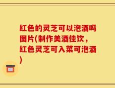 红色的灵芝可以泡酒吗图片(制作美酒佳饮，红色灵芝可入菜可泡酒)