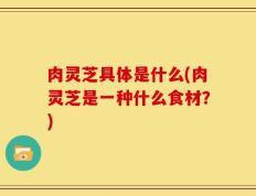 肉灵芝具体是什么(肉灵芝是一种什么食材？)
