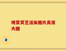 观赏灵芝活体图片高清大图