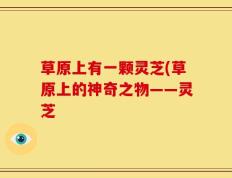草原上有一颗灵芝(草原上的神奇之物——灵芝