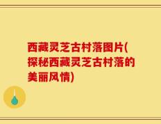 西藏灵芝古村落图片(探秘西藏灵芝古村落的美丽风情)