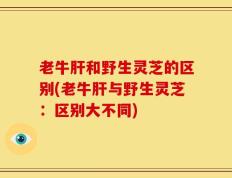 老牛肝和野生灵芝的区别(老牛肝与野生灵芝：区别大不同)