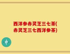 西洋参赤灵芝三七茶(赤灵芝三七西洋参茶)