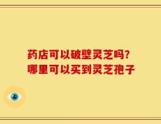 药店可以破壁灵芝吗？哪里可以买到灵芝孢子