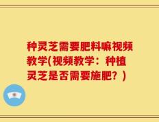 种灵芝需要肥料嘛视频教学(视频教学：种植灵芝是否需要施肥？)