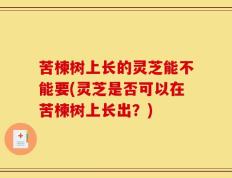 苦楝树上长的灵芝能不能要(灵芝是否可以在苦楝树上长出？)