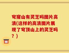 穹窿山有灵芝吗图片高清(这样的高清图片展现了穹顶山上的灵芝吗？)