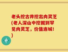 老头挖古井挖出肉灵芝(老人深山中挖掘到罕见肉灵芝，价值连城！)
