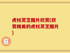 虎杖灵芝图片欣赏(欣赏精美的虎杖灵芝图片)