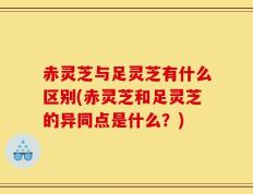 赤灵芝与足灵芝有什么区别(赤灵芝和足灵芝的异同点是什么？)