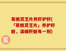 葛根灵芝片养肝护肝(「葛根灵芝片」养护肝脏，温暖肝脏每一刻)