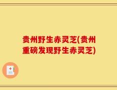 贵州野生赤灵芝(贵州重磅发现野生赤灵芝)