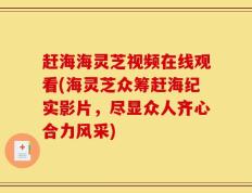 赶海海灵芝视频在线观看(海灵芝众筹赶海纪实影片，尽显众人齐心合力风采)