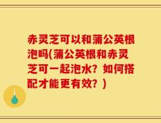 赤灵芝可以和蒲公英根泡吗(蒲公英根和赤灵芝可一起泡水？如何搭配才能更有效？)