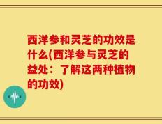 西洋参和灵芝的功效是什么(西洋参与灵芝的益处：了解这两种植物的功效)
