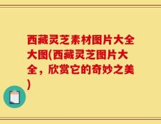 西藏灵芝素材图片大全大图(西藏灵芝图片大全，欣赏它的奇妙之美)