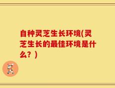 自种灵芝生长环境(灵芝生长的最佳环境是什么？)