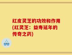 红皮灵芝的功效和作用(红灵芝：益寿延年的传奇之药)